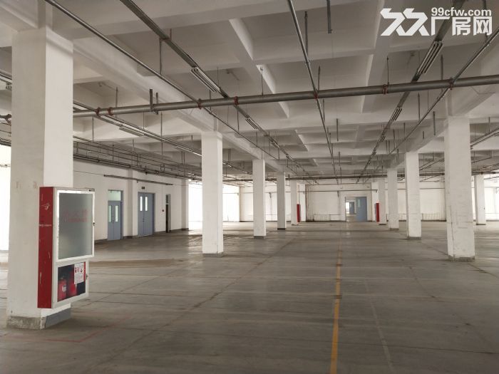 生物医药 食品 服装厂房出租 享受税收奖励2000平-图3