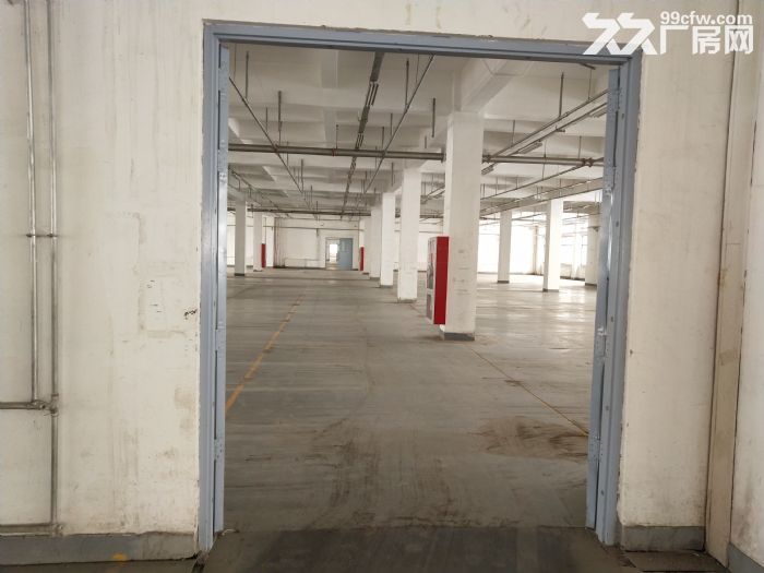 生物医药 食品 服装厂房出租 享受税收奖励2000平-图2