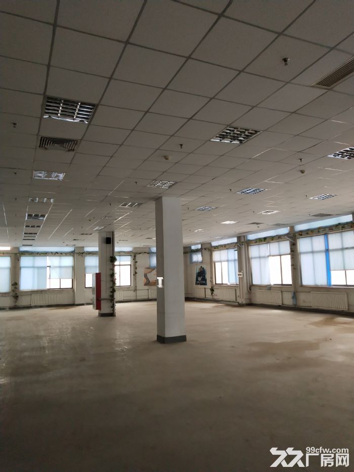 生物医药 食品 服装厂房出租 享受税收奖励2000平-图4