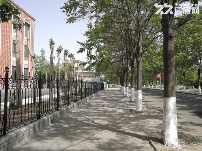 天津武清10000㎡标准厂房出租 园区直租 可提供 税收政策 免路费费-图1