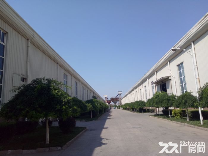 天津市武清区8000㎡标准厂房出租 税收支持 免中介费-图2