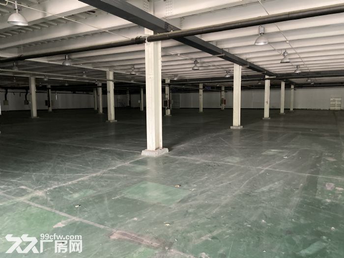 出租厂房 仓储、 生产、 物流、 研发、办公多功能一体的厂房-图8
