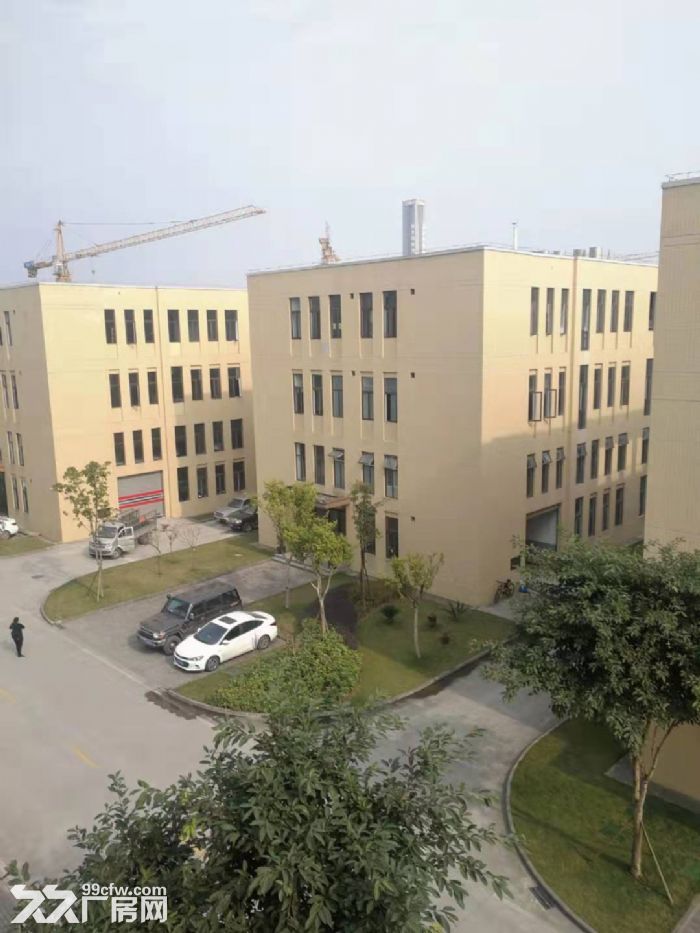 主城巴南界石沙坪坝九龙坡工业园区独栋产权厂房-图4