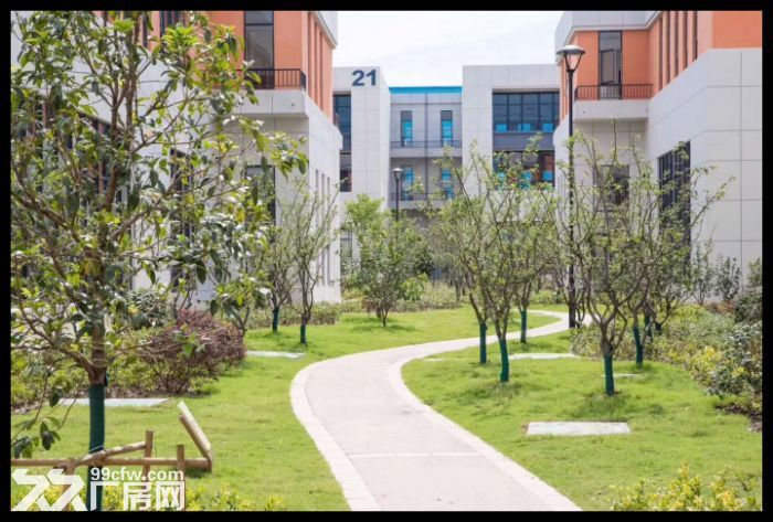 非中介标准园区厂房，位置国家级高新区（可办环评）。-图5