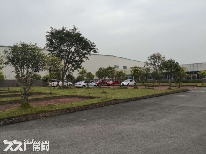 永川凤凰湖工业园适合装备制造/仓储物流15000平米厂房出租-图2