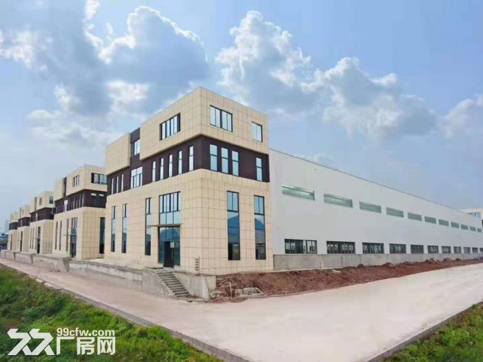 珞璜高速下道口独栋11米单层厂房现房出租-图4
