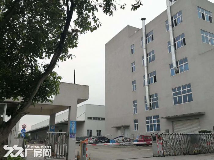 便宜家具厂房出租快点来租哦-图3