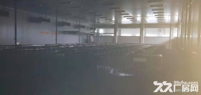 出租重庆市潼南区4000平标准厂房-图3
