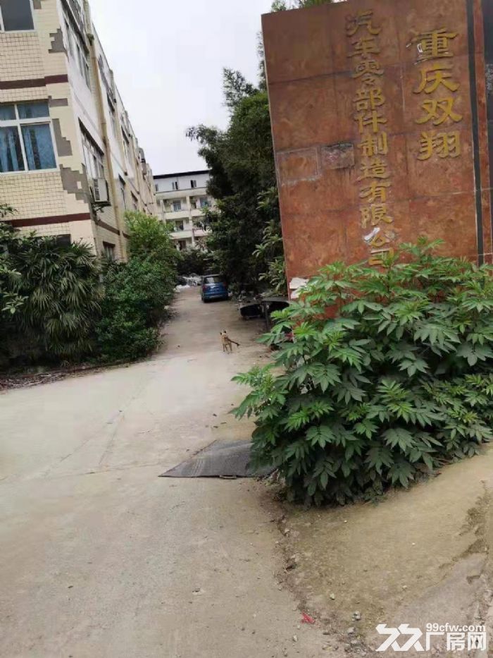 重庆巴南区小泉自由村自建厂房出租-图1