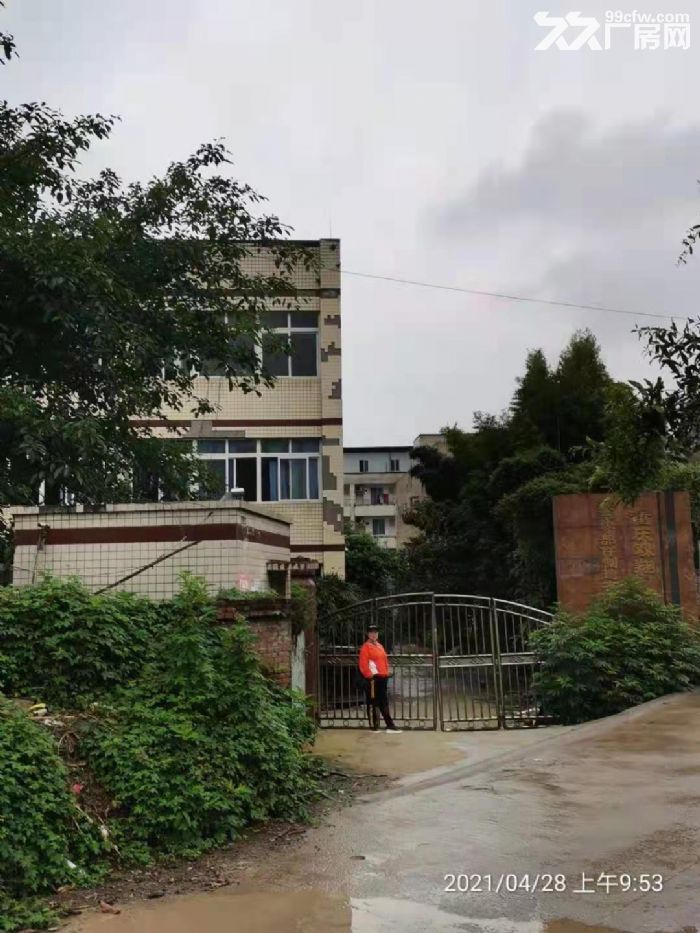 重庆巴南区小泉自由村自建厂房出租-图2