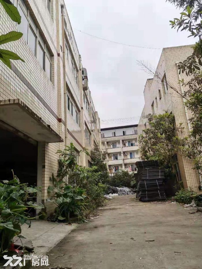 重庆巴南区小泉自由村自建厂房出租-图3