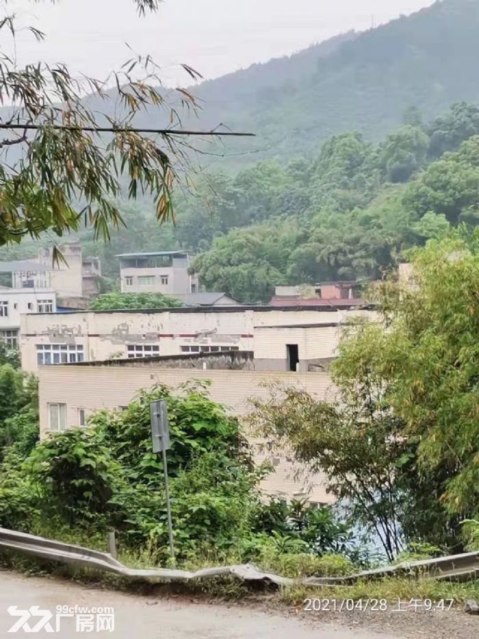 重庆巴南区小泉自由村自建厂房出租-图4