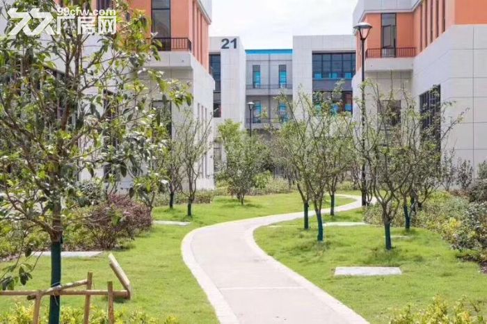 急租！急售！独立产权厂房，独门独户，可按揭至10年，水电入户-图4