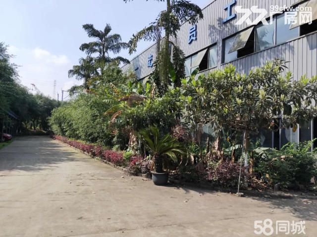 西彭工业园区钢结构厂房出租-图5
