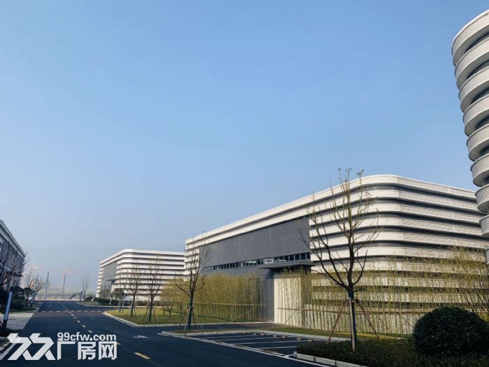 井口工业园周边租售，全新钢结构厂房 空高11米-图1