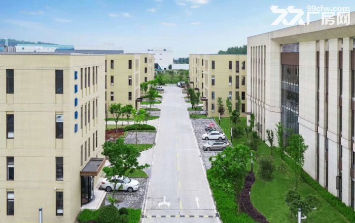 开发商租售 同兴周边标准厂房 附赠车位 可享政策-图2