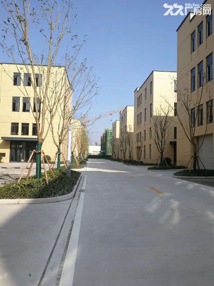 开发商租售 同兴周边标准厂房 附赠车位 可享政策-图5