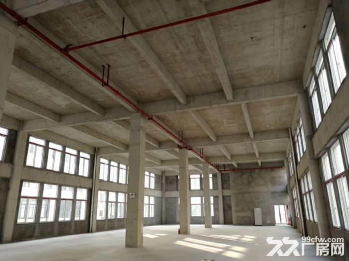 高新技术产业园 实用标准厂房 适合生产研发办公 1000㎡起-图2