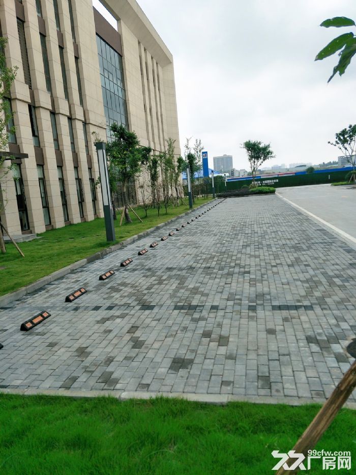租售渝北临空智能科技产业园标准厂房-图2
