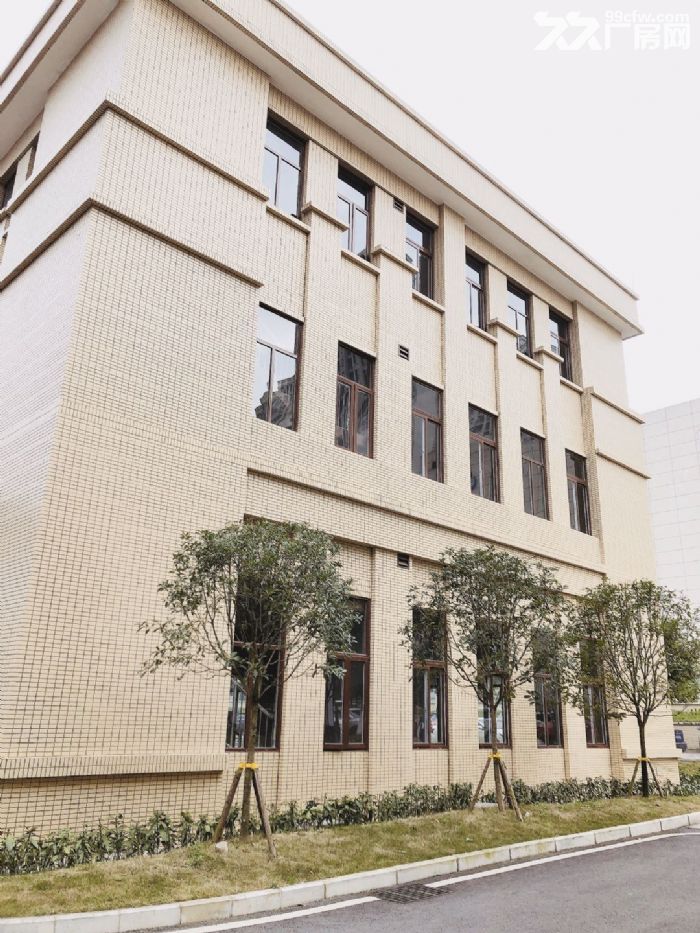 出租出售 标准厂房 双层独栋双拼联排 1000㎡起-图2
