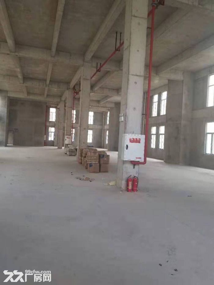 出租出售 标准厂房 双层独栋双拼联排 1000㎡起-图4