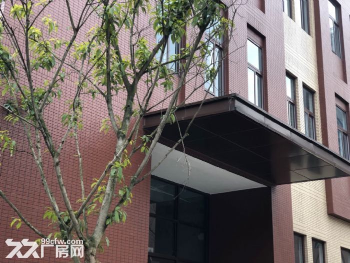 【出租售 联东U谷】两江新区直管区 2层现房 可走17米大拖挂车-图3