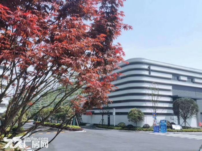 沙坪坝单层轻钢厂房出租面积1400−6500平可装10T行车-图6