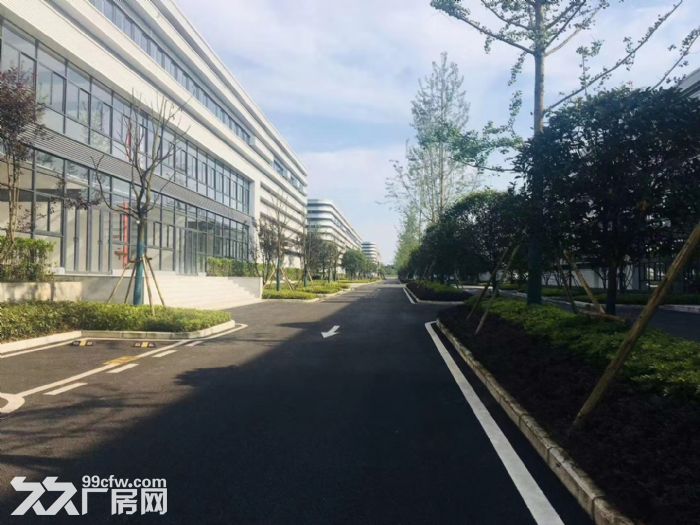 沙坪坝单层轻钢厂房出租面积1400−6500平可装10T行车-图2