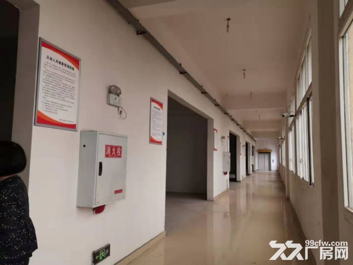 食品厂房租售：重庆江津食品产业园食品厂房转让出售-图4