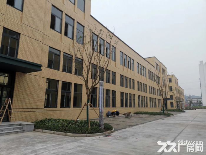 重庆青凤高科产业园，标准厂房出售，50年产权，环境优越，交通便捷-图3