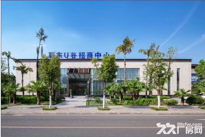 标准厂房 双层独栋双拼联排 1000㎡起-图3