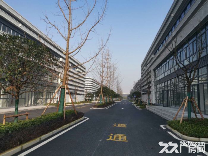 高品质标准厂房出售−交通便利 配套完善 环境优美 独栋双拼任选-图3