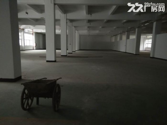 茶园新区4800平标准厂房出租-图1