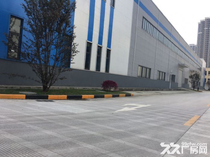 两江水土单层厂房出租，价格实惠，面积灵活-图4