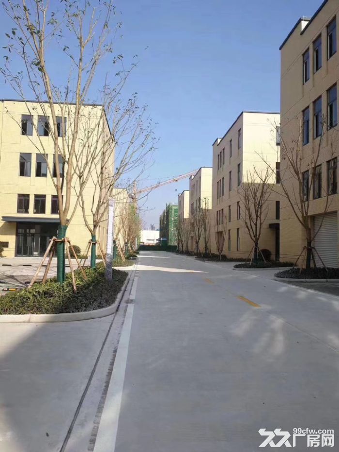 专业标准化厂房租售，户型方正，按揭、分期均可-图3