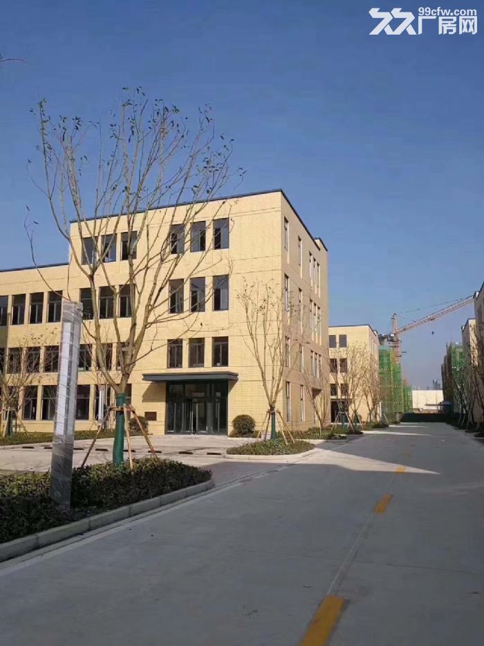 专业标准化厂房租售，户型方正，按揭、分期均可-图6