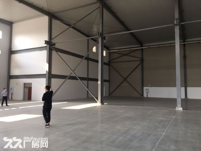 北碚蔡家、水土单层轻钢出租，面积可分割-图2