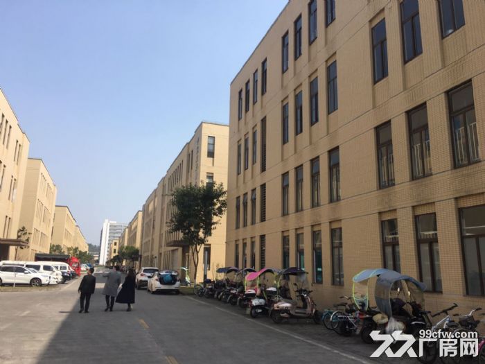 品质园区 独栋产权 可按揭标准厂房出售-图1