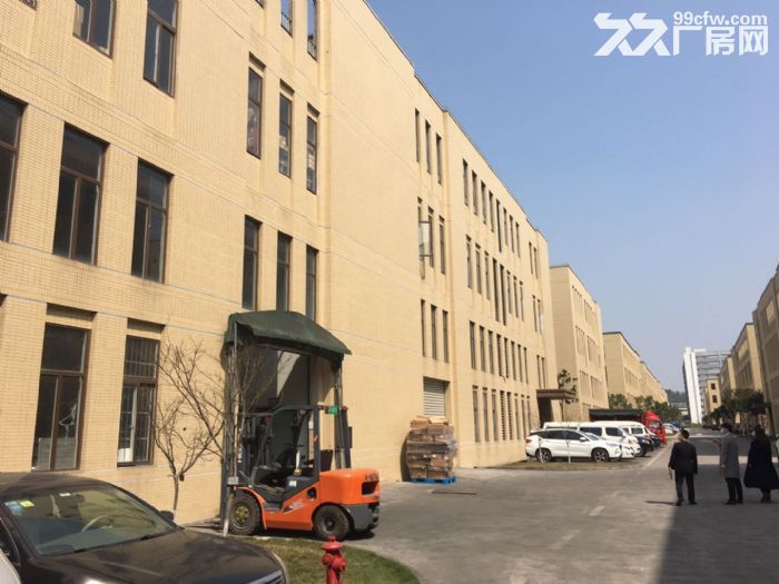 品质园区 独栋产权 可按揭标准厂房出售-图2