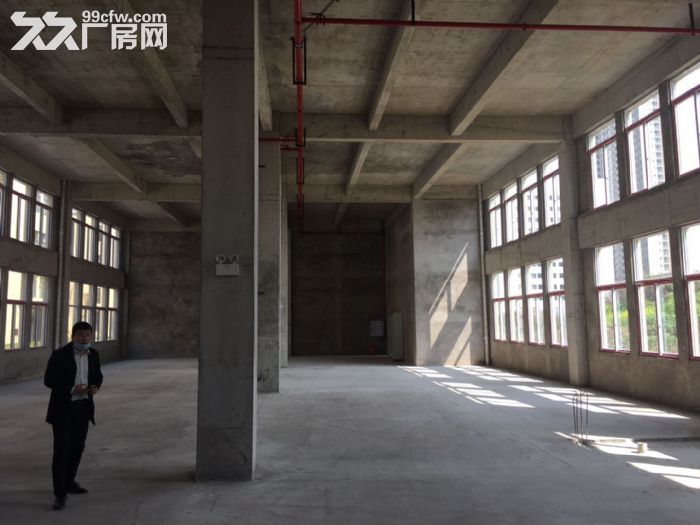 品质园区 独栋产权 可按揭标准厂房出售-图3