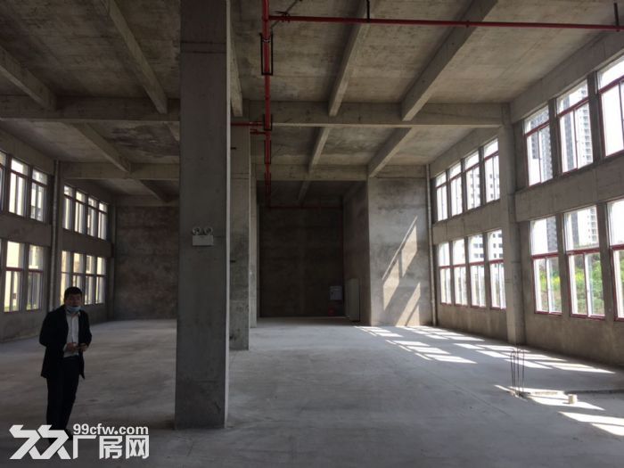 花朝工业园附近标准厂房出售出租-图1