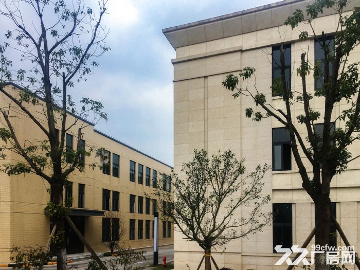 2层结构独栋花园式厂房，17米半挂可进出，园区道路宽敞，可按揭，有产权-图3