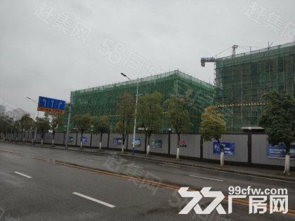 独栋标准准现房出租出售，面积800起-图3