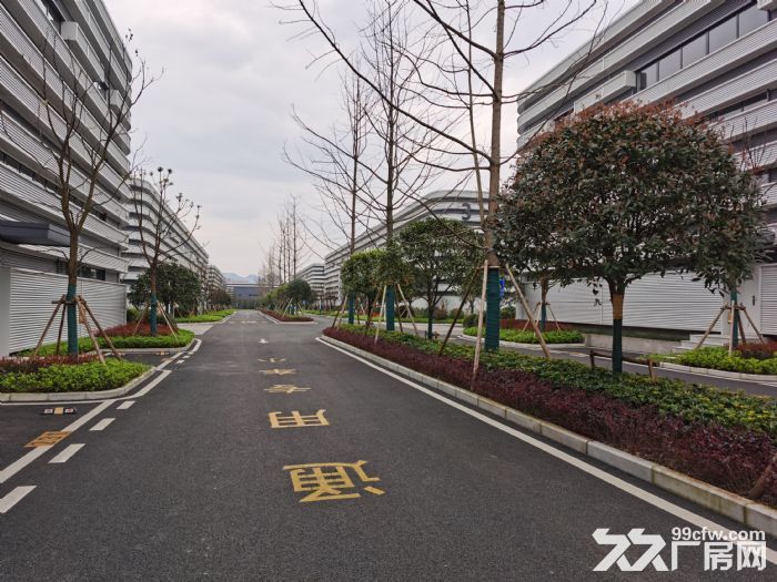 出售 主城内 标准框架 厂房  价格便宜带产权-图7
