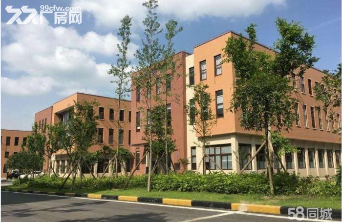 两江新区标准厂房出租出售-图3