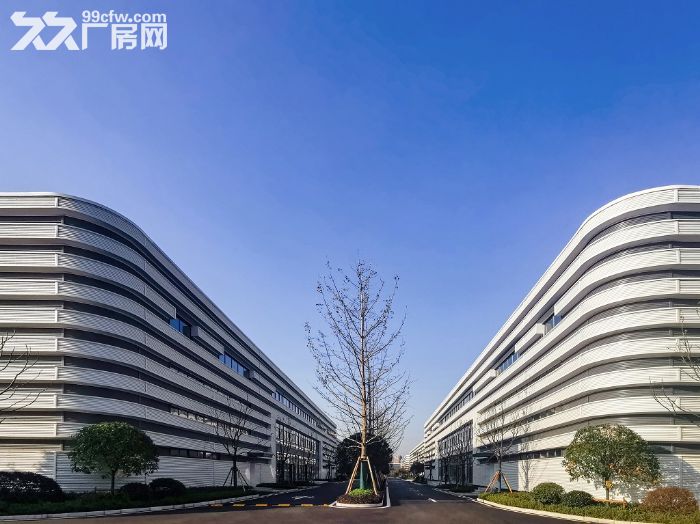 重庆 单层轻钢结构 标准厂房 可分租 1000㎡起-图1