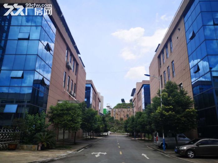 食品工业园，厂房50年产权，污水统一处理-图1