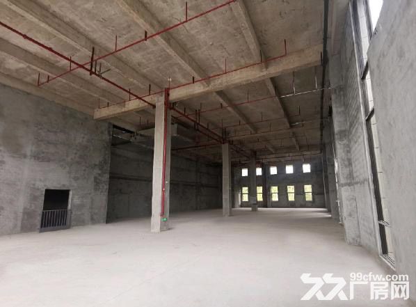 金科亿达两江健康科技城 标准厂房3层（写字楼独栋） 出租-图3