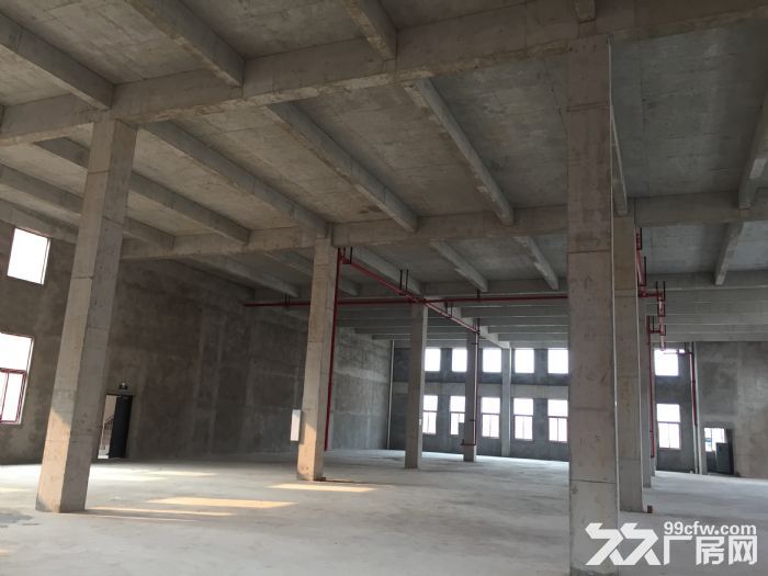 主城区，3层优质独栋厂房租售-图1