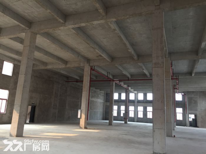 内环旁，首层8米2层独栋厂房售-图7